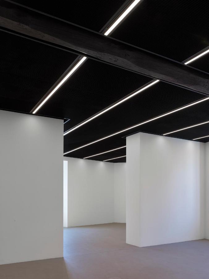 Rhinoceros Apart otel Roma Dış mekan fotoğraf
