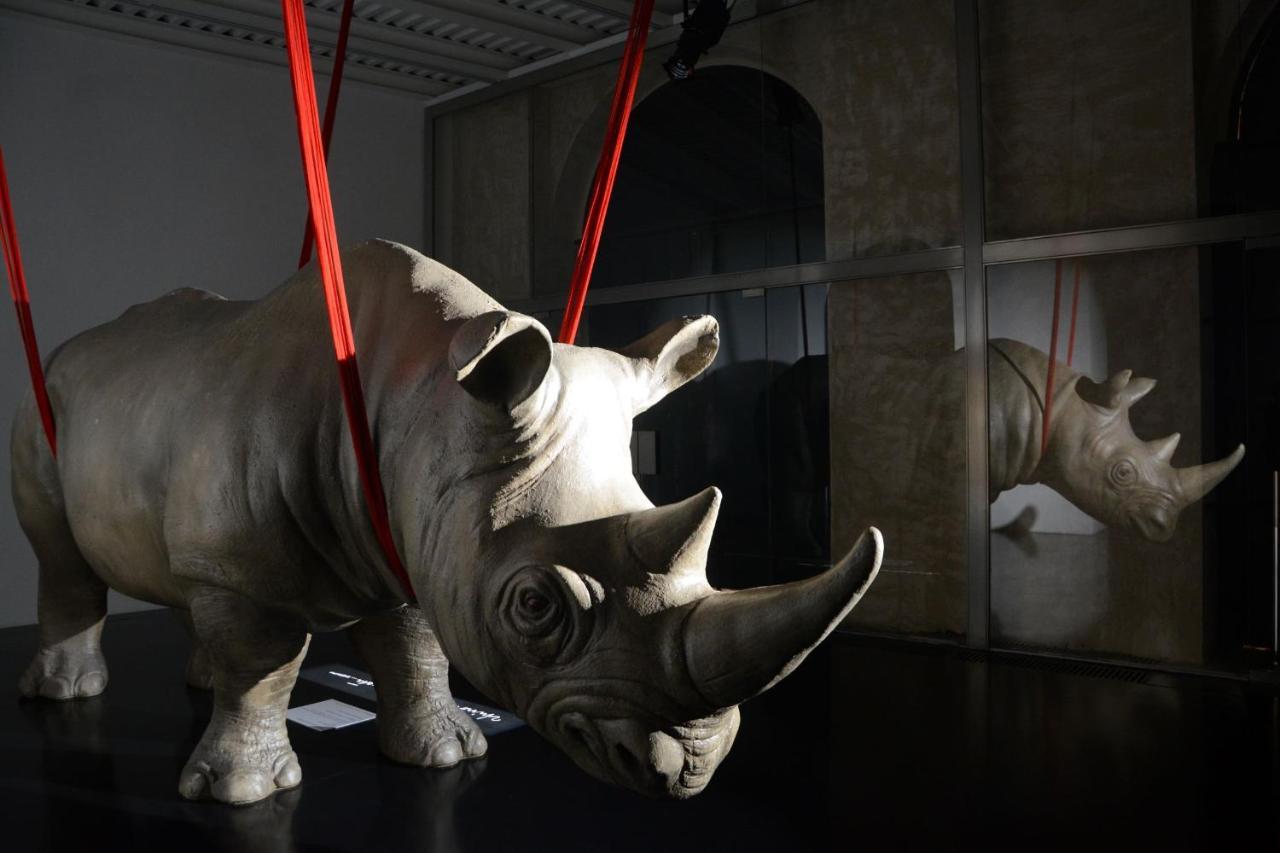 Rhinoceros Apart otel Roma Dış mekan fotoğraf